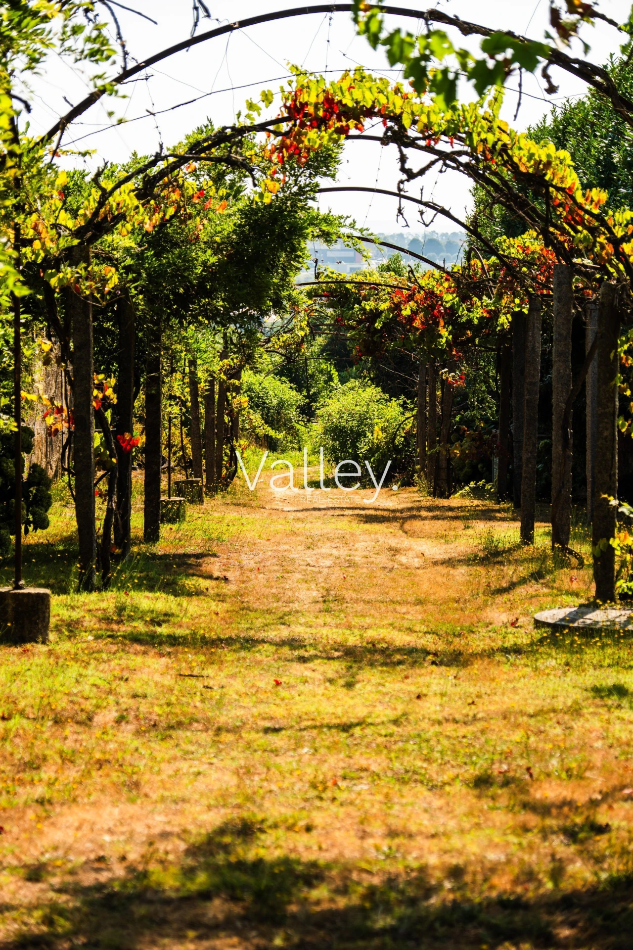 Quinta T6 para Venda em Gondifelos, Cavalões e Outiz Foto 19