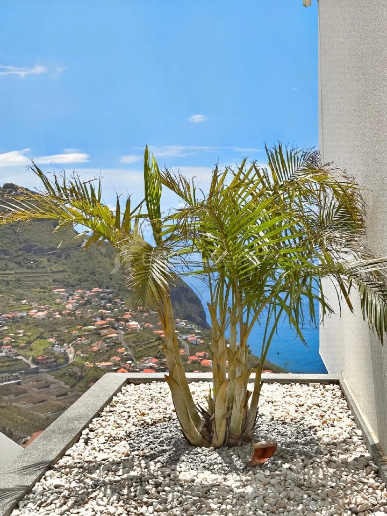 Moradia T2 para Venda em Arco da Calheta Foto 51