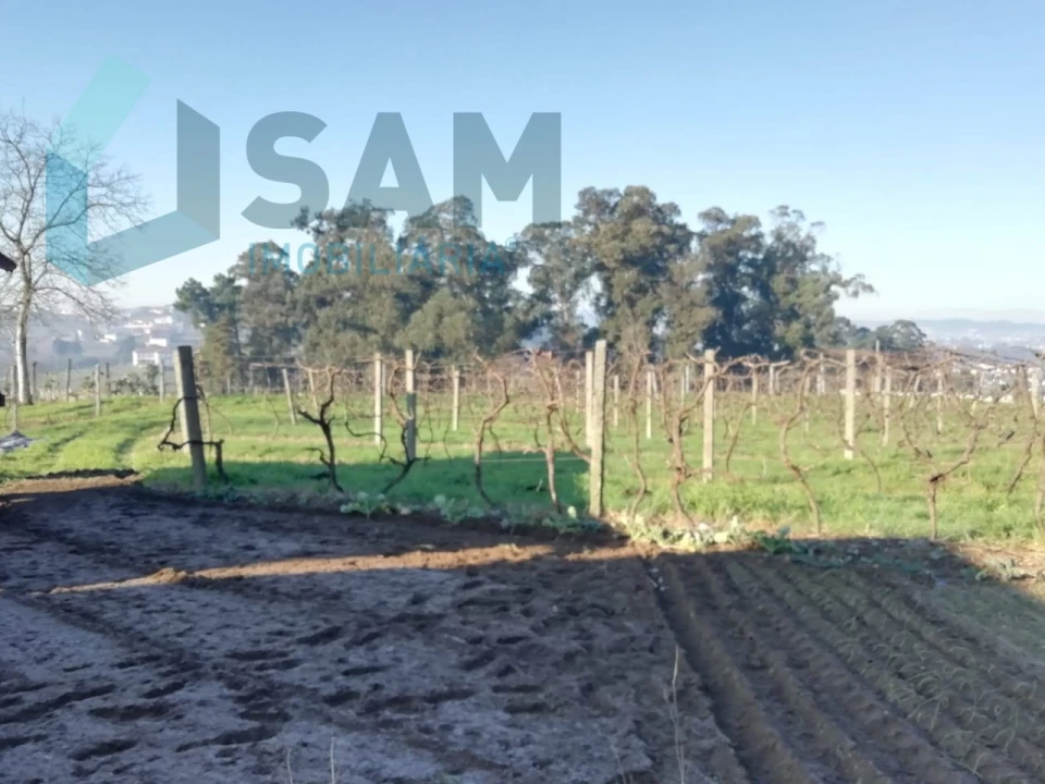 Quinta T9 para Venda em Macieira da Lixa e Caramos Foto 24