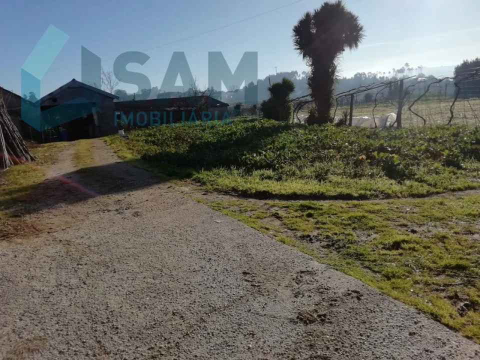 Quinta T9 para Venda em Macieira da Lixa e Caramos Foto 25
