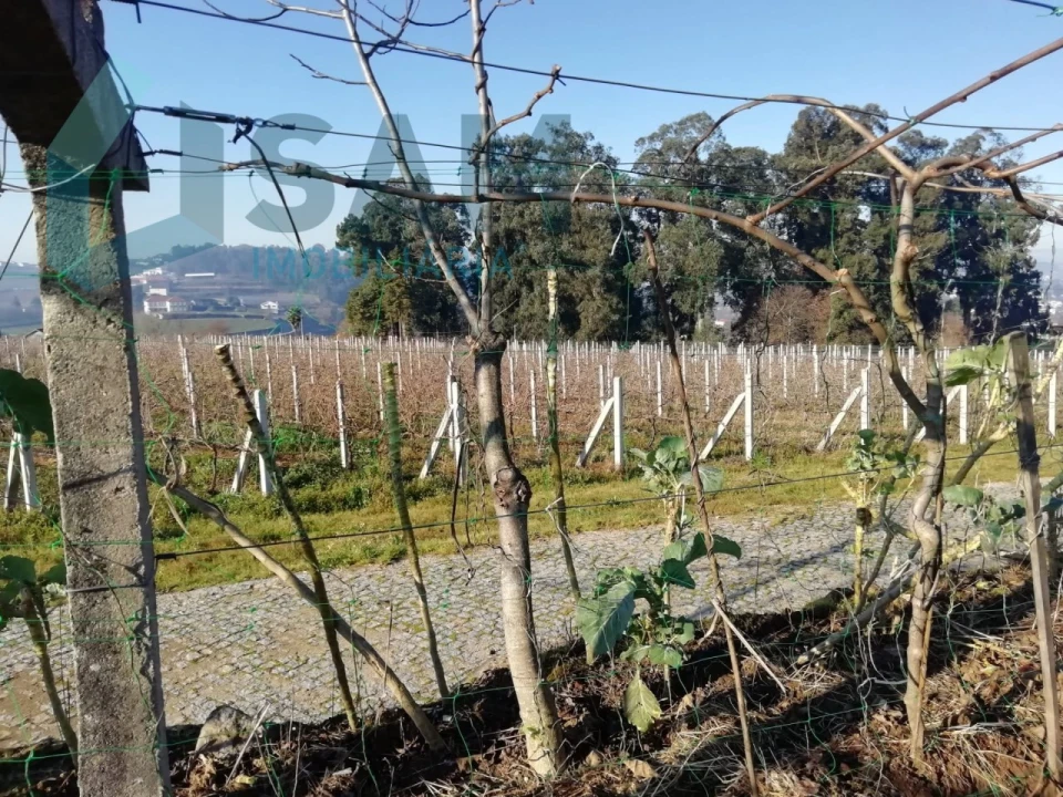 Quinta T9 para Venda em Macieira da Lixa e Caramos Foto 27