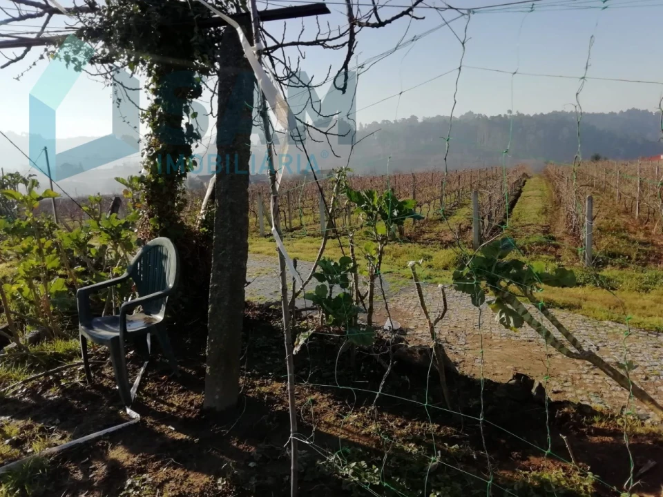 Quinta T9 para Venda em Macieira da Lixa e Caramos Foto 29