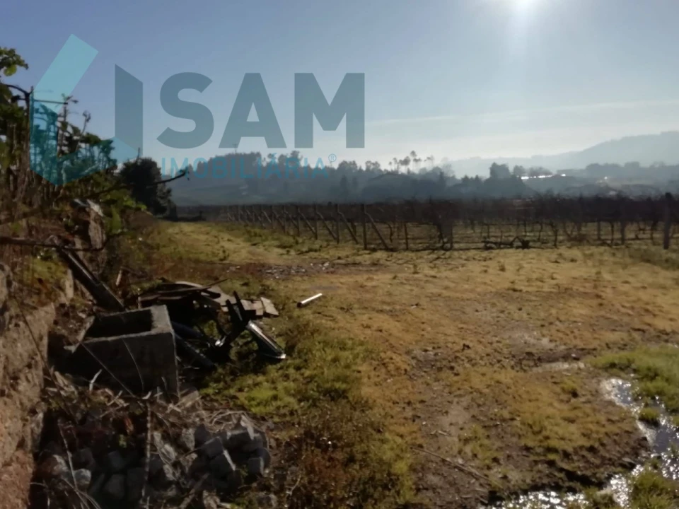 Quinta T9 para Venda em Macieira da Lixa e Caramos Foto 31