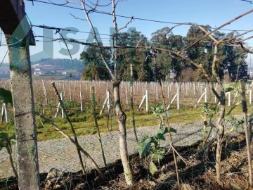 Quinta T9 para Venda em Macieira da Lixa e Caramos