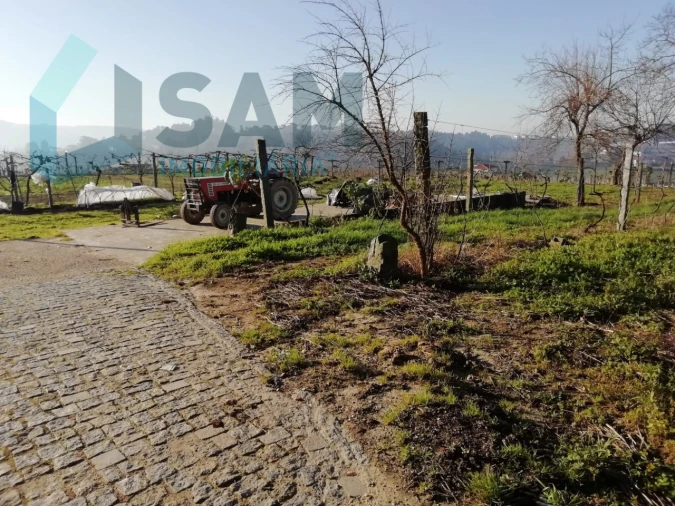 Quinta T9 para Venda em Macieira da Lixa e Caramos Foto 26