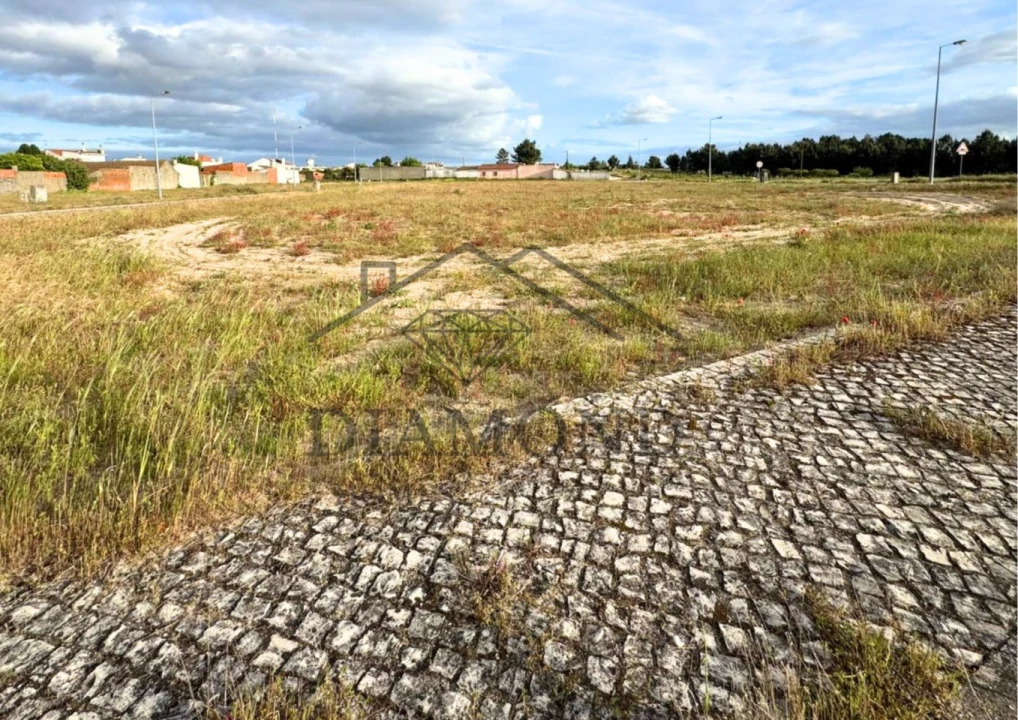Terreno para Venda em Muge Foto 4