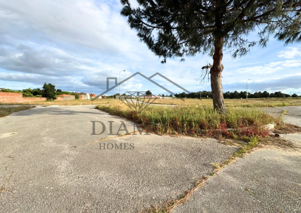 Terreno para Venda em Muge Foto 13