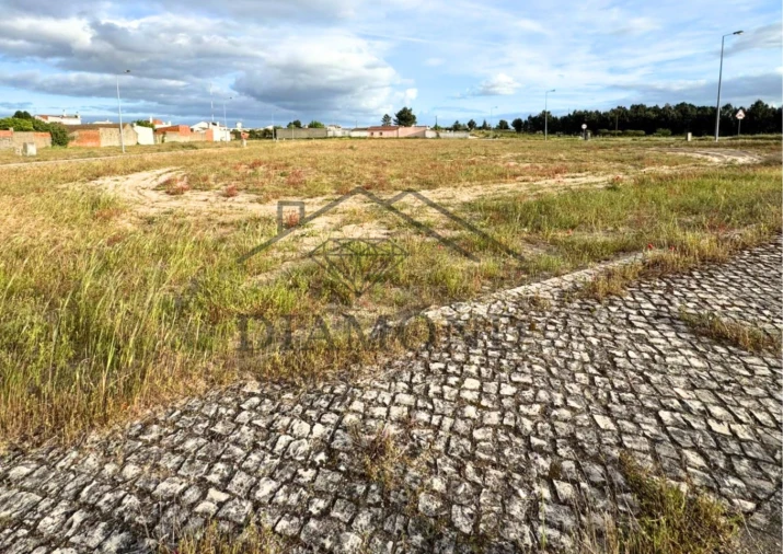 Terreno para Venda em Muge Foto 4