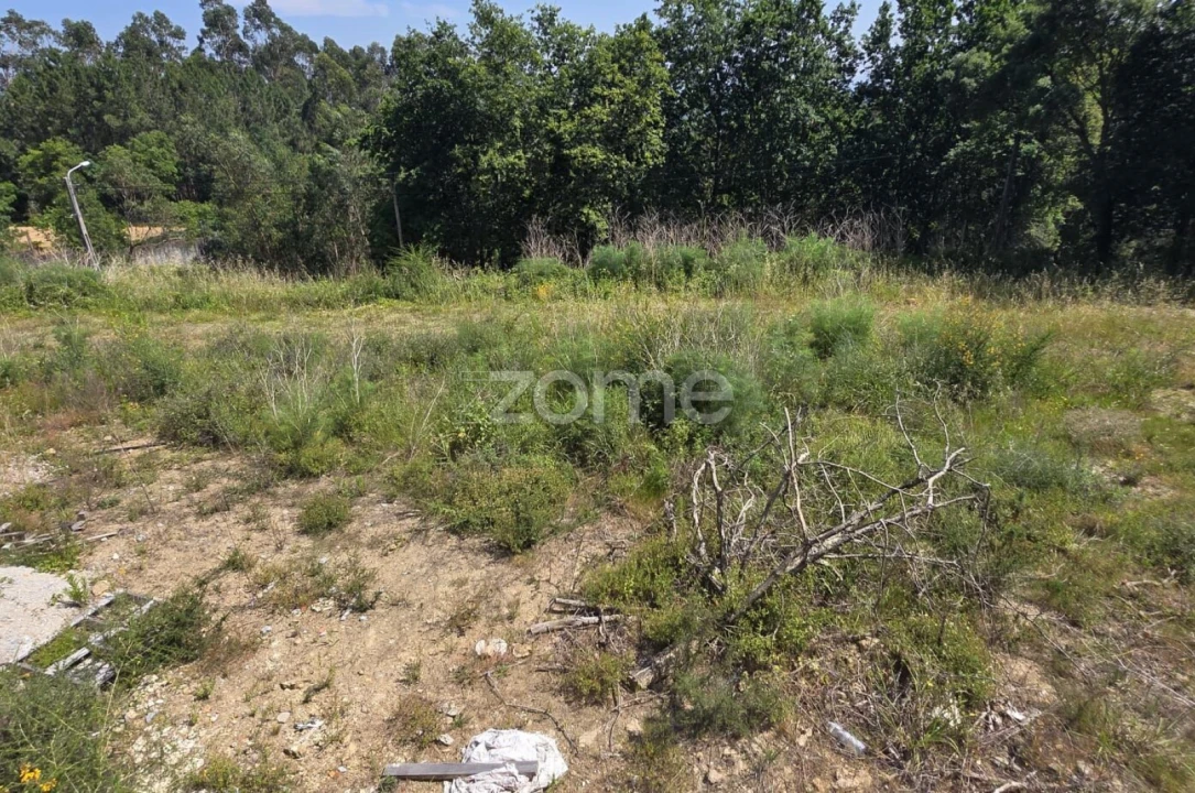 Terreno para Venda em Marrancos e Arcozelo Foto 14