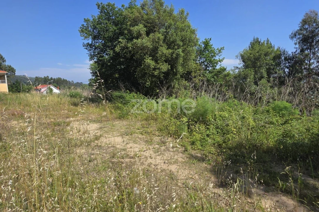 Terreno para Venda em Marrancos e Arcozelo Foto 11