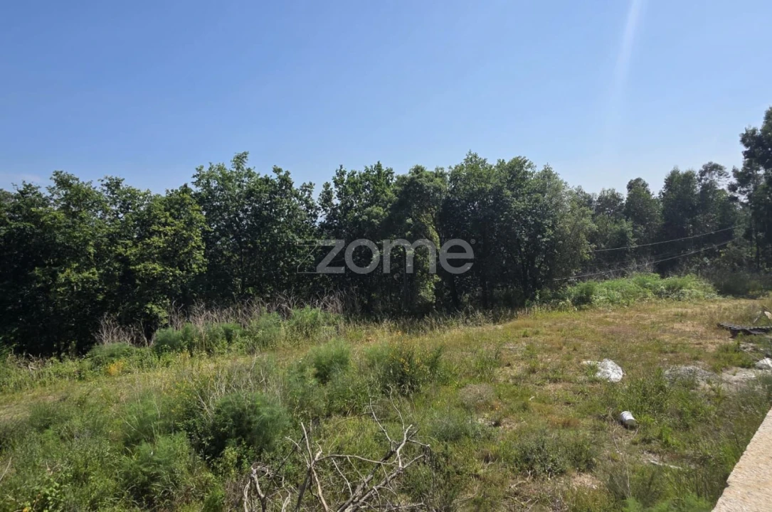 Terreno para Venda em Marrancos e Arcozelo Foto 4