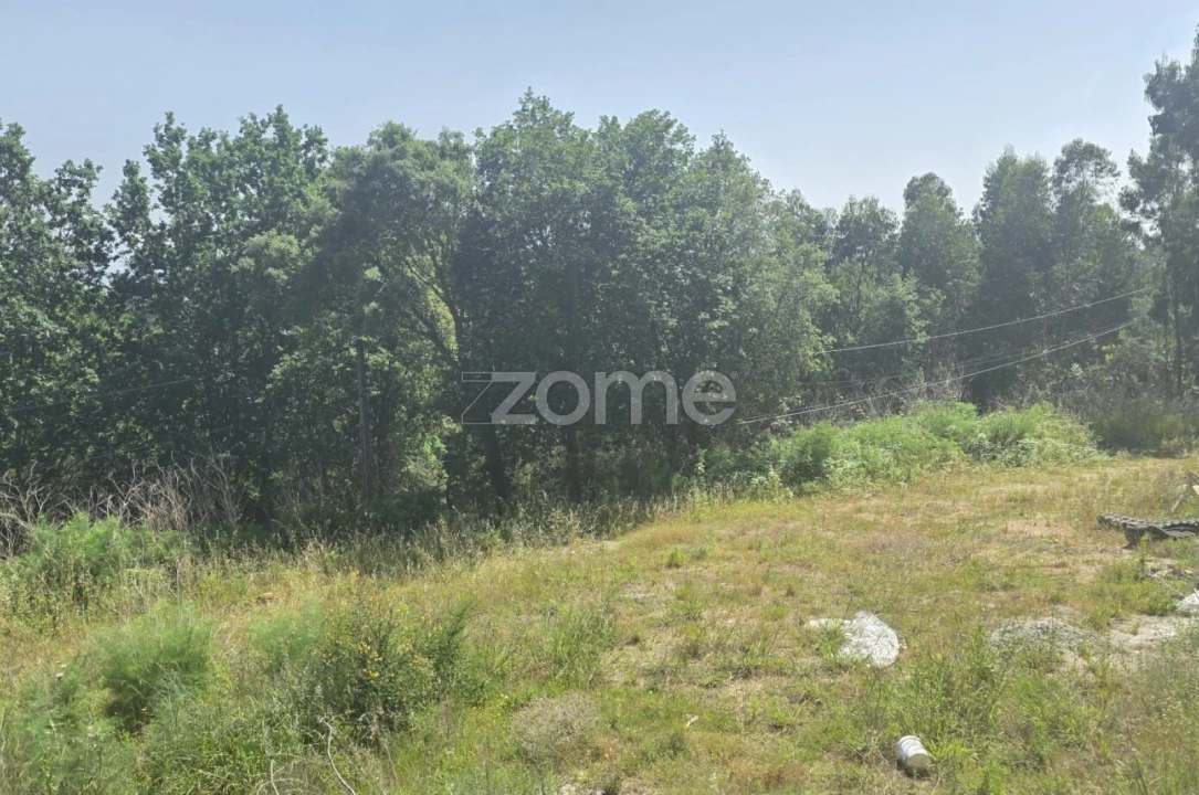 Terreno para Venda em Marrancos e Arcozelo Foto 5