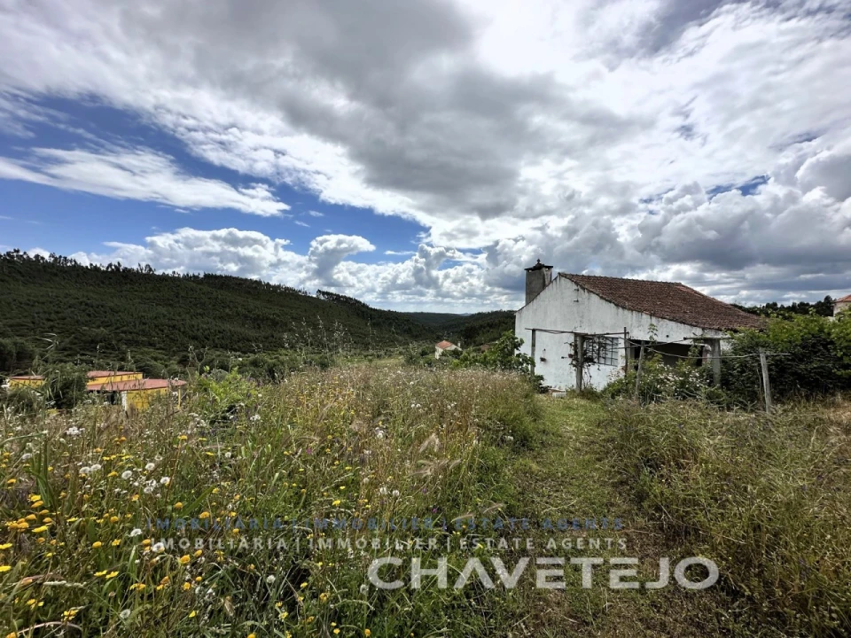 Quinta T3 para Venda em Vila de Rei Foto 29