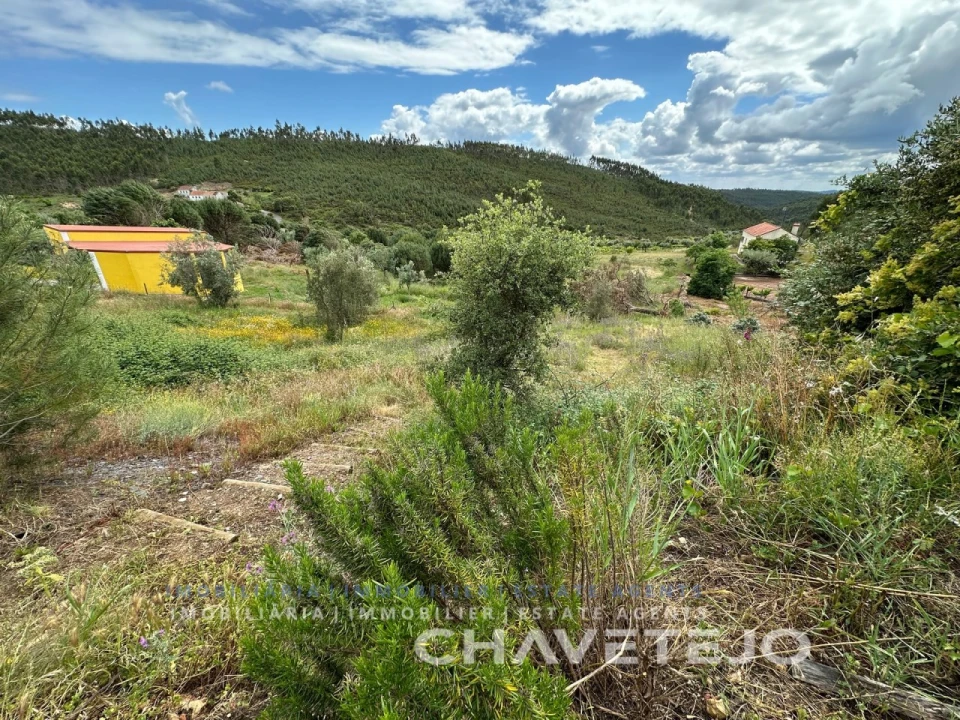 Quinta T3 para Venda em Vila de Rei Foto 30