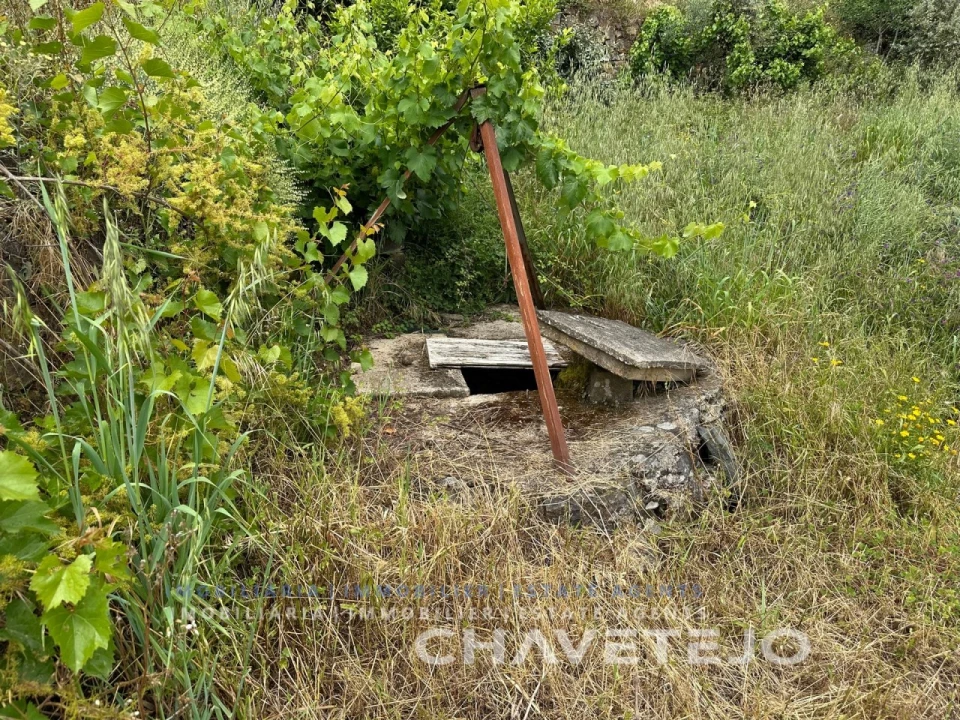 Quinta T3 para Venda em Vila de Rei Foto 31