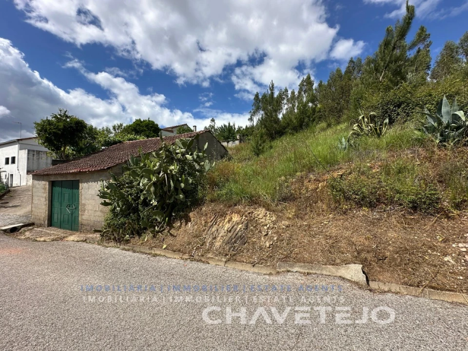 Quinta T3 para Venda em Vila de Rei Foto 44