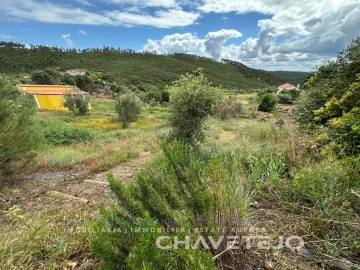 Quinta T3 para Venda em Vila de Rei