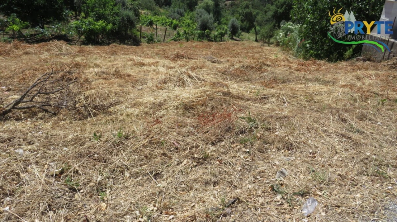 Moradia para Venda em Cernache do Bonjardim, Nesperal e Palhais Foto 6