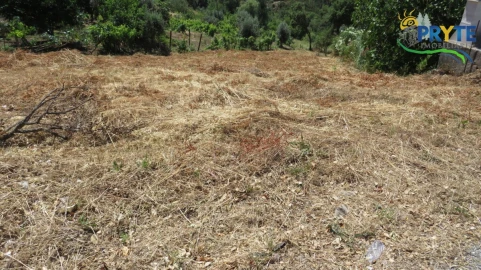 Moradia para Venda em Cernache do Bonjardim, Nesperal e Palhais