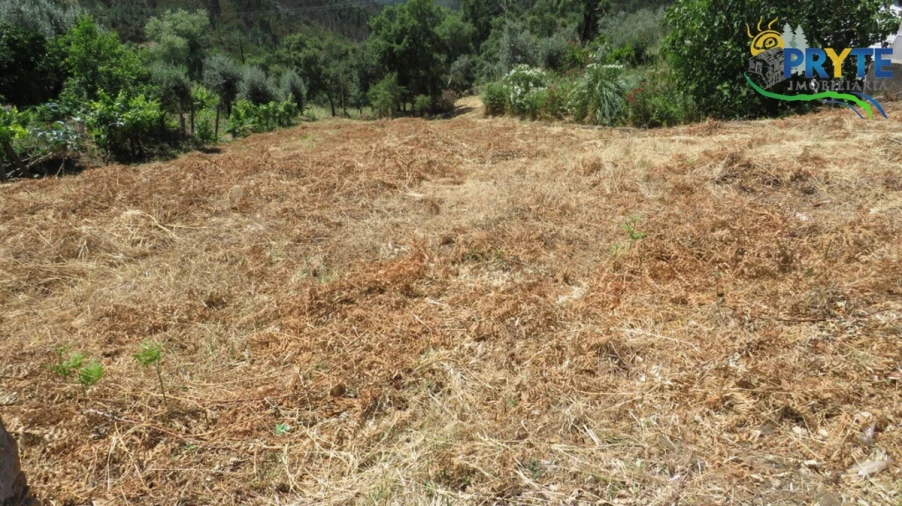 Moradia para Venda em Cernache do Bonjardim, Nesperal e Palhais Foto 5