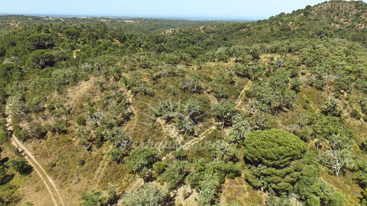 Terreno Misto para Venda em São Francisco da Serra Foto 9