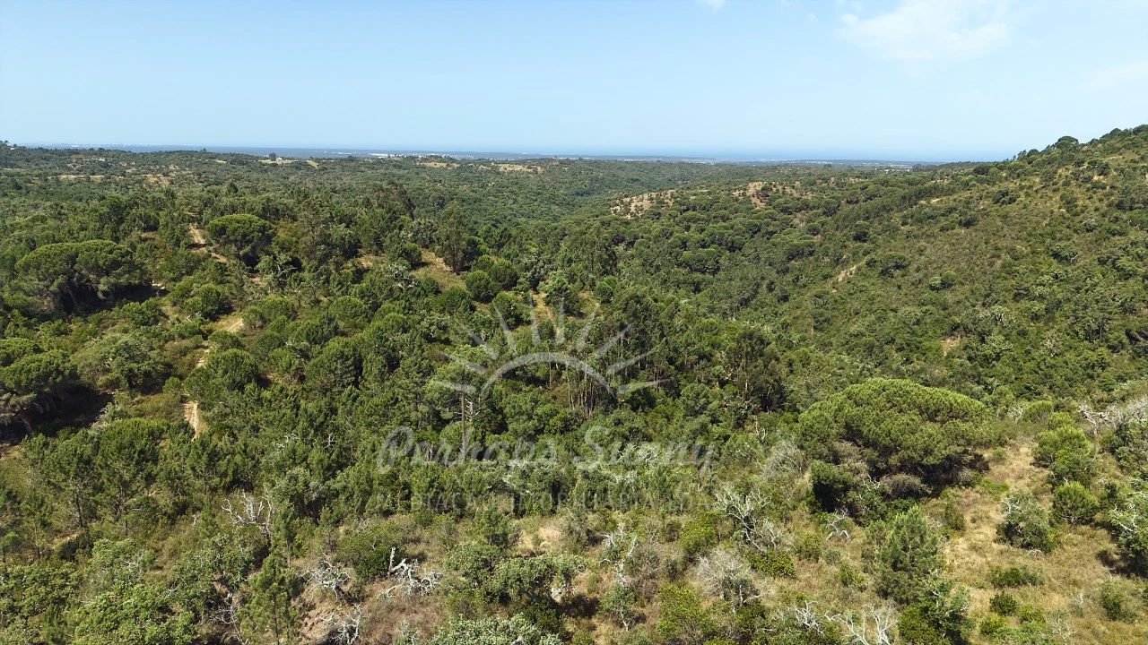 Terreno Misto para Venda em São Francisco da Serra Foto 15