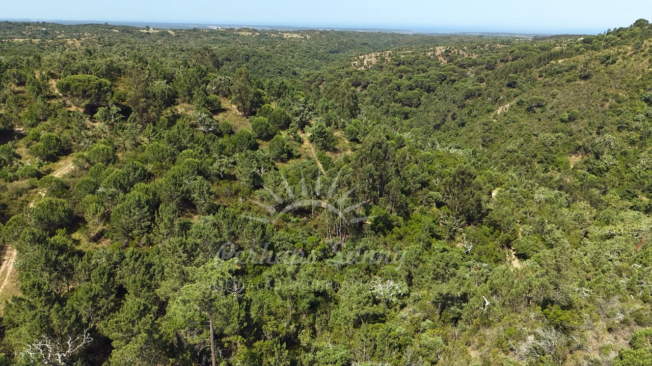 Terreno Misto para Venda em São Francisco da Serra Foto 19