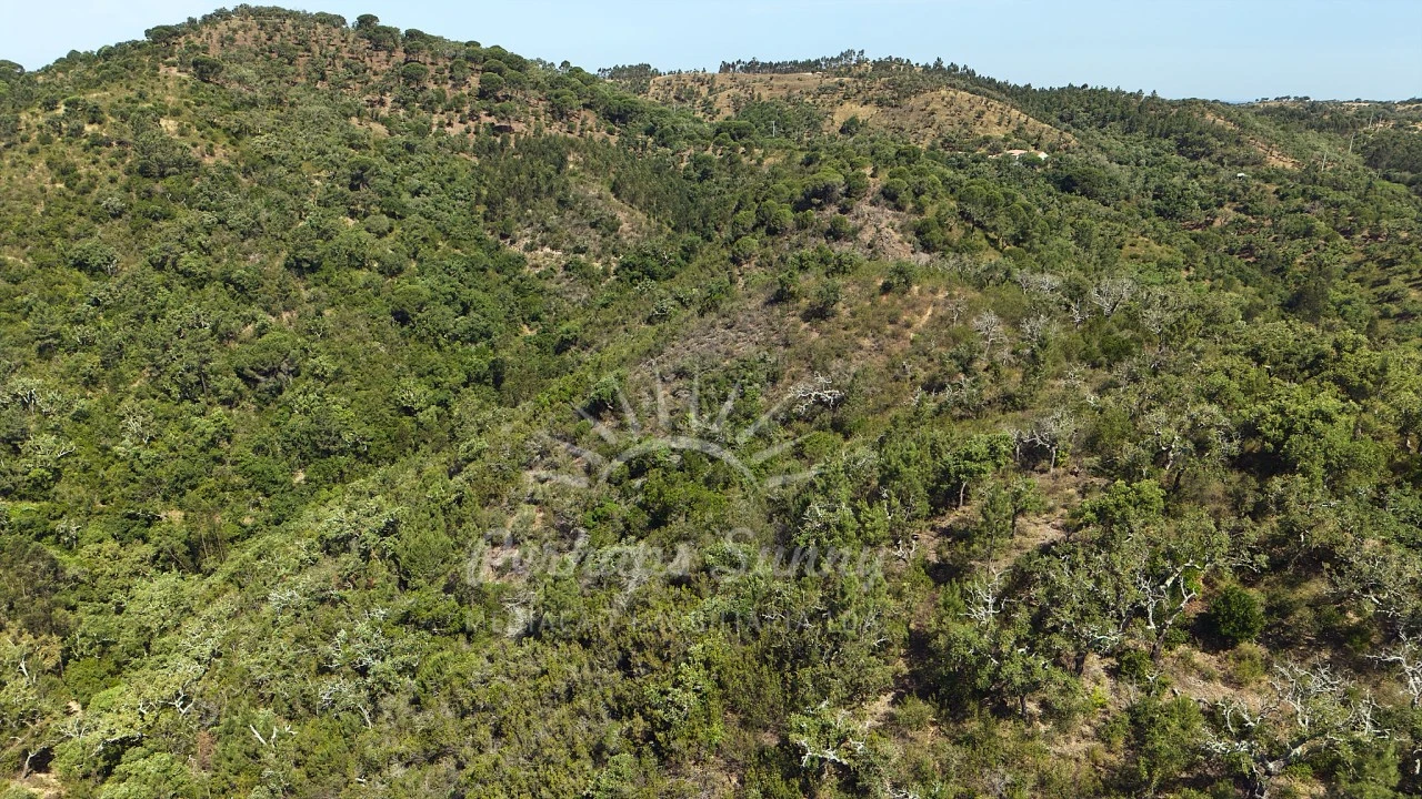 Terreno Misto para Venda em São Francisco da Serra Foto 21