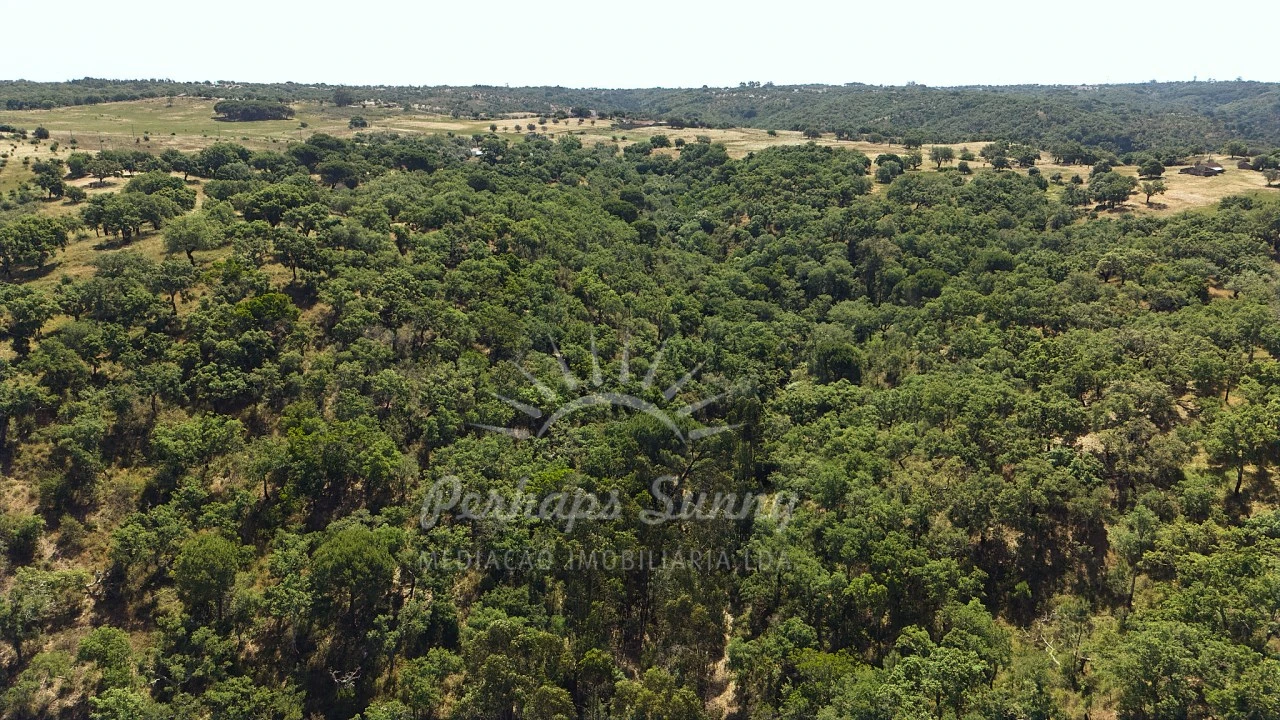 Terreno Misto para Venda em São Francisco da Serra Foto 25