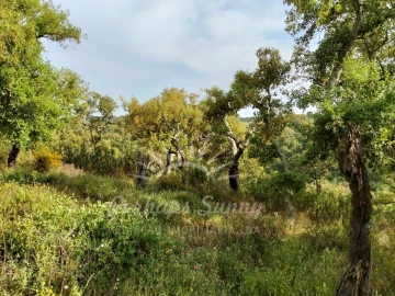Terreno Misto para Venda em São Francisco da Serra