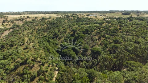 Terreno Misto para Venda em São Francisco da Serra