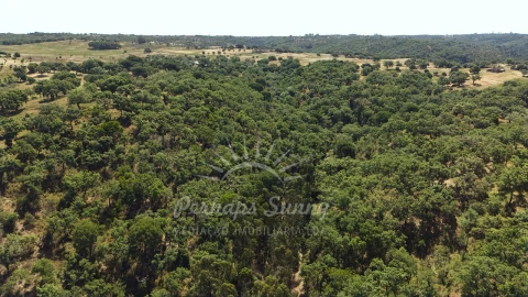 Terreno Misto para Venda em São Francisco da Serra