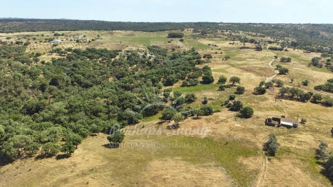 Terreno Misto para Venda em São Francisco da Serra