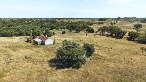 Terreno Misto para Venda em São Francisco da Serra