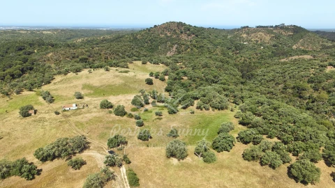 Terreno Misto para Venda em São Francisco da Serra