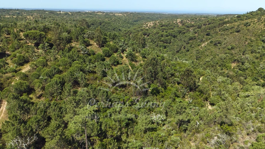 Terreno Misto para Venda em São Francisco da Serra Foto 19