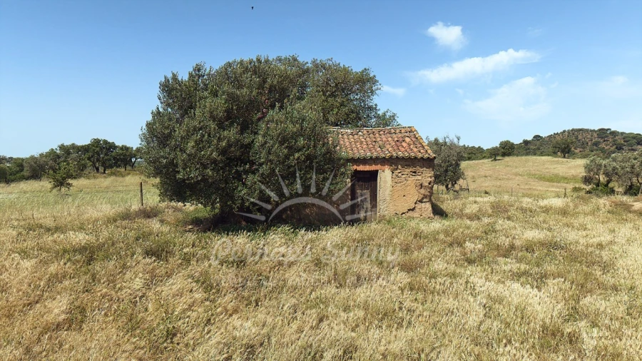 Terreno Misto para Venda em São Francisco da Serra Foto 3