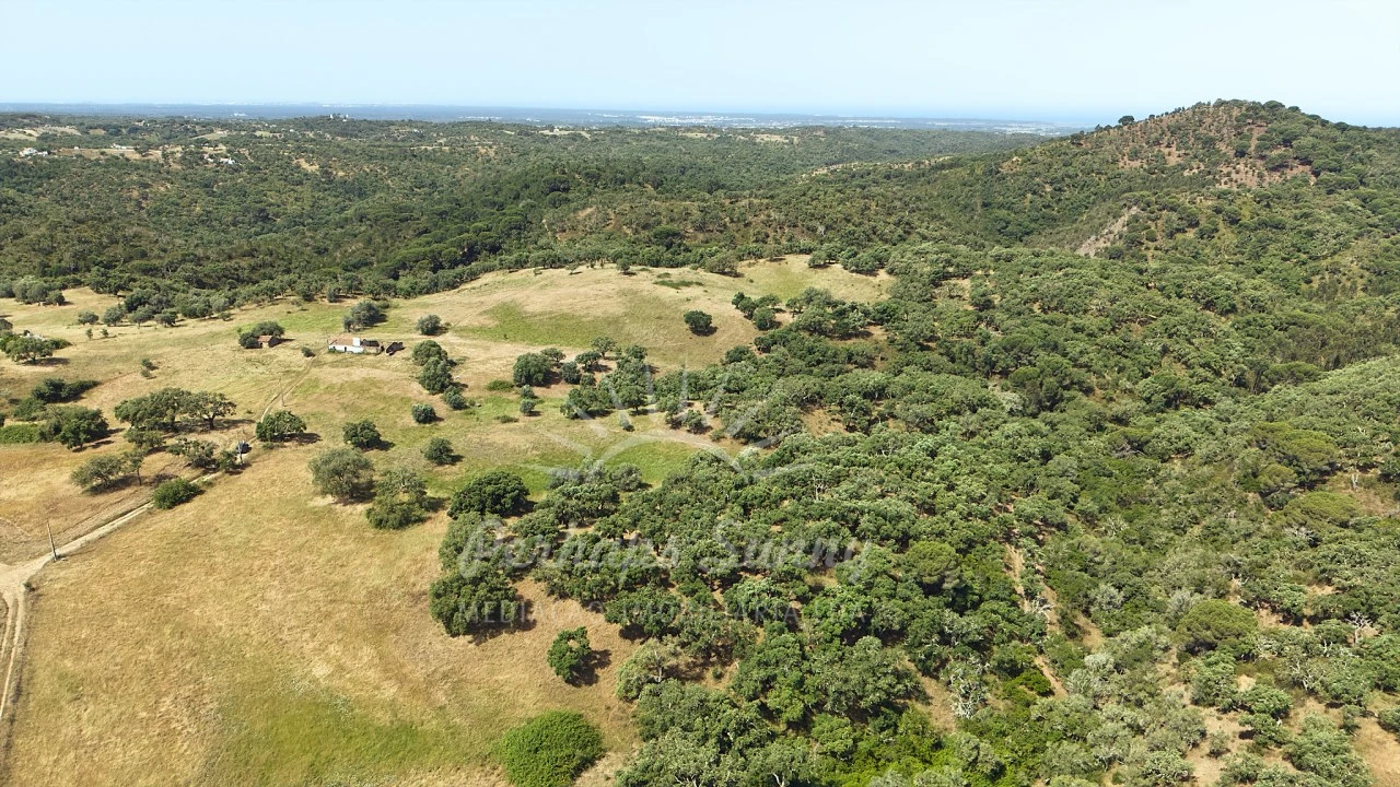 Terreno Misto para Venda em São Francisco da Serra Foto 12