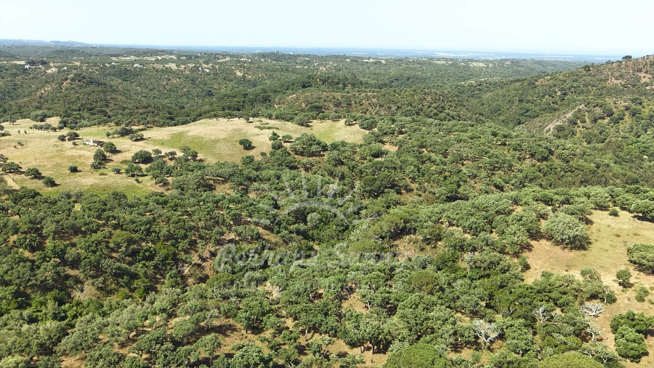 Terreno Misto para Venda em São Francisco da Serra Foto 14