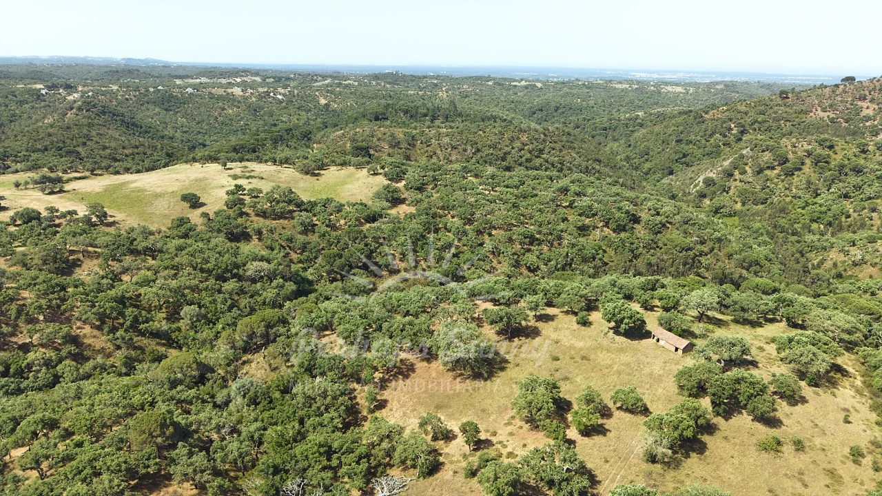 Terreno Misto para Venda em São Francisco da Serra Foto 15