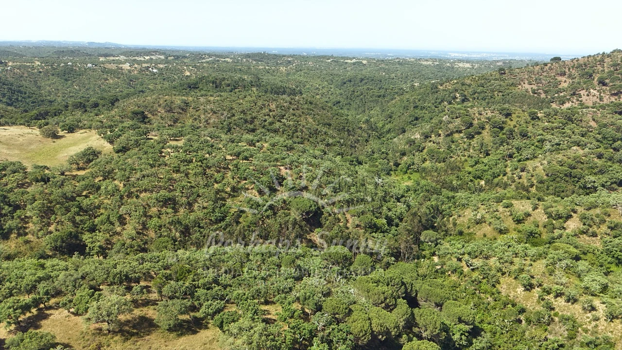 Terreno Misto para Venda em São Francisco da Serra Foto 16
