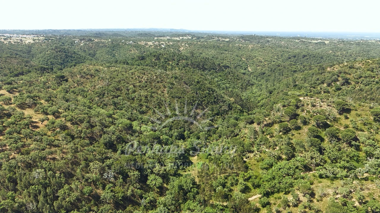 Terreno Misto para Venda em São Francisco da Serra Foto 17