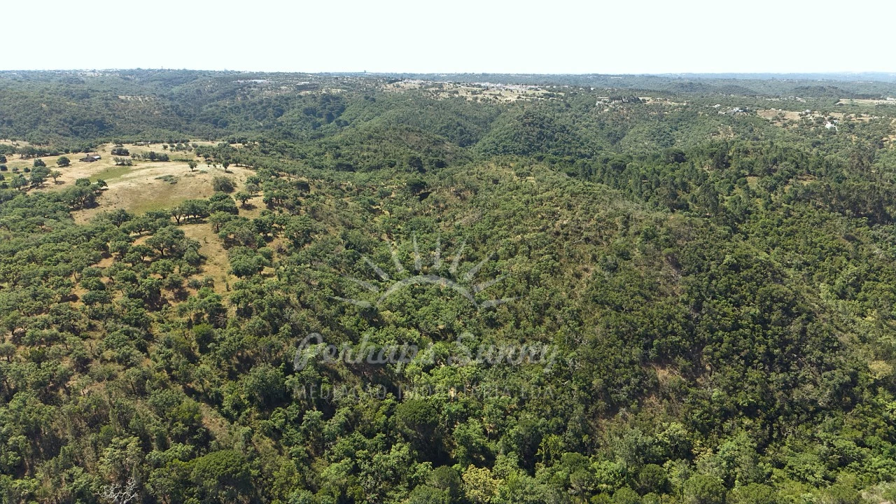 Terreno Misto para Venda em São Francisco da Serra Foto 18