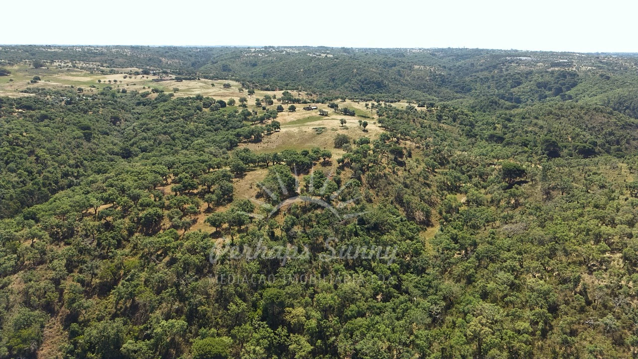 Terreno Misto para Venda em São Francisco da Serra Foto 19