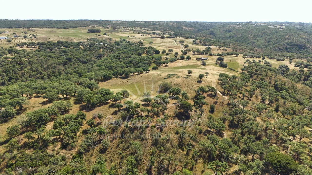 Terreno Misto para Venda em São Francisco da Serra Foto 21