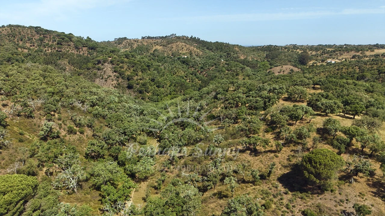 Terreno Misto para Venda em São Francisco da Serra Foto 22