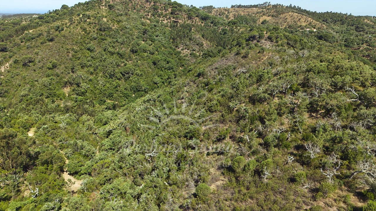 Terreno Misto para Venda em São Francisco da Serra Foto 24