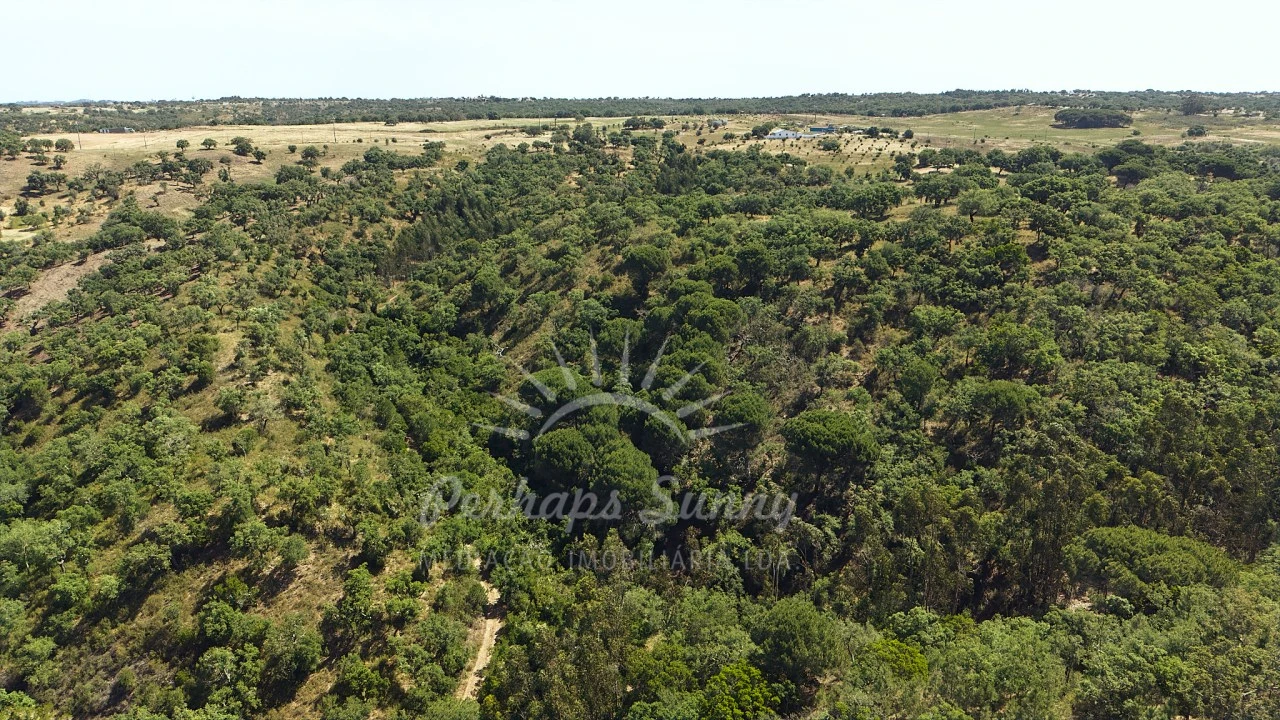 Terreno Misto para Venda em São Francisco da Serra Foto 26