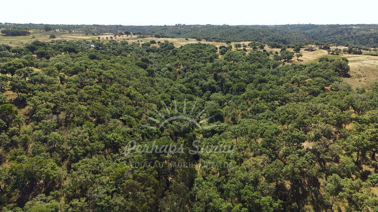 Terreno Misto para Venda em São Francisco da Serra Foto 27