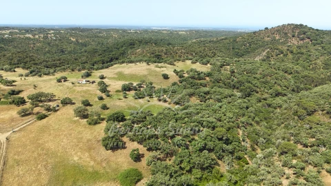 Terreno Misto para Venda em São Francisco da Serra